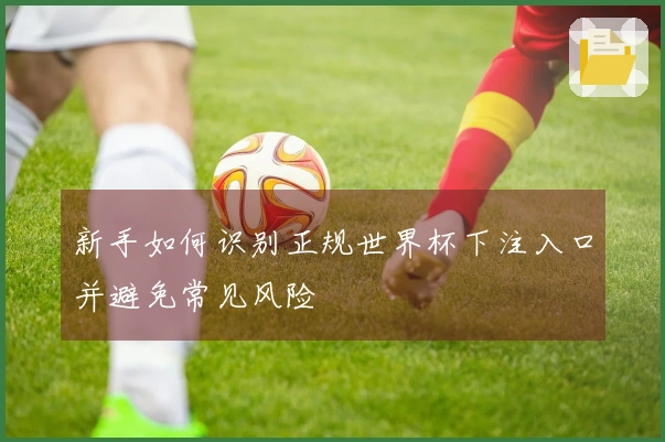 新手如何识别正规世界杯下注入口并避免常见风险