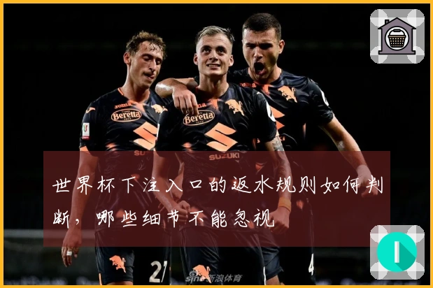 世界杯下注入口的返水规则如何判断，哪些细节不能忽视