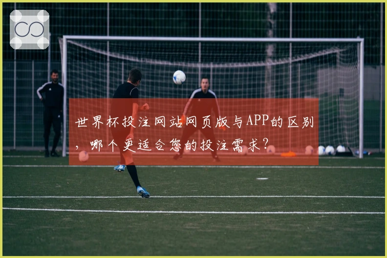 世界杯投注网站网页版与APP的区别,哪个更适合您的投注需求?