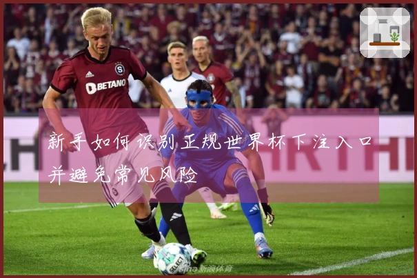 新手如何识别正规世界杯下注入口并避免常见风险